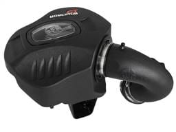 aFe 51-76312 aFe POWER Momentum GT Pro Dry S Intake System 16-17 BMW 330i F30 B46/48 I4-2.0L (t)