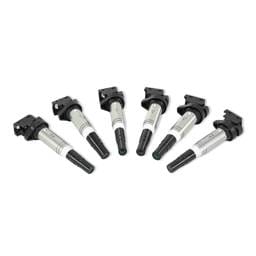 Mishimoto MMIG-BMW-0206 Mishimoto 2002+ BMW M54/N20/N52/N54/N55/N62/S54/S62 Six Cylinder Ignition Coil Set of 6 - Fits select 2002-2019 BMW models