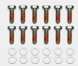 Wilwood 230-14086 Wilwood Bolt Kit - 5/16-18 x 1.00 LG - 12 pk