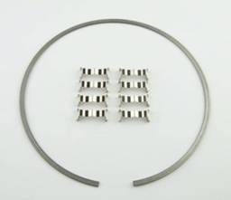 Wilwood 300-12561 Wilwood Kit Snap Ring (1) and Wear Plates (8) Dynamic Drag Rotor
