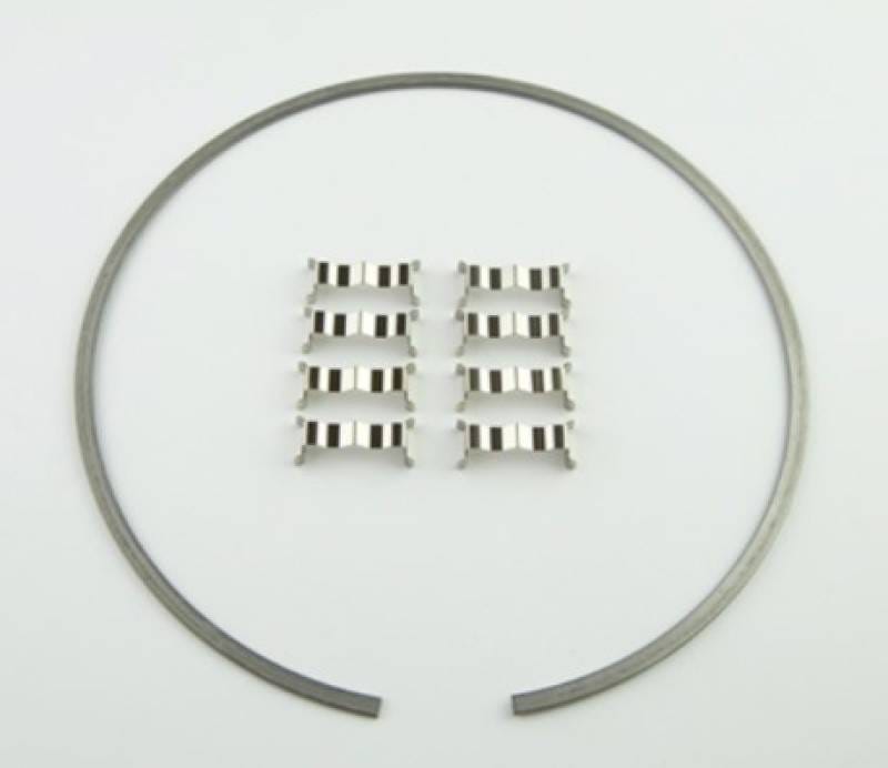 Wilwood 300-12561 Wilwood Kit Snap Ring (1) and Wear Plates (8) Dynamic Drag Rotor