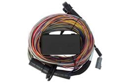 Haltech HT-140604 Haltech Elite 750 Premium Universal Wire-In Harness - 2.5m (8ft)