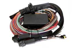 Haltech HT-141304 Haltech Elite 2500/2500 T Premium Universal Wire-In Harness - 2.5m (8ft)
