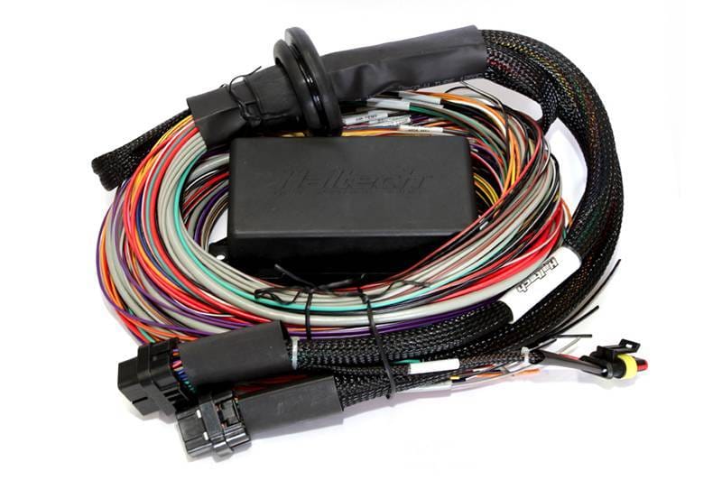 Haltech HT-141304 Haltech Elite 2500/2500 T Premium Universal Wire-In Harness - 2.5m (8ft)