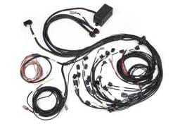 Haltech HT-141388 Haltech Elite 2500 Terminated Harness w/EV1 Injector Connectors