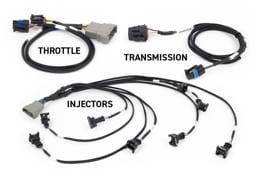Haltech HT-220201 Haltech NEXUS Rebel LS Gen III Cable Throttle/EV1 Injectors/Manual Transmission