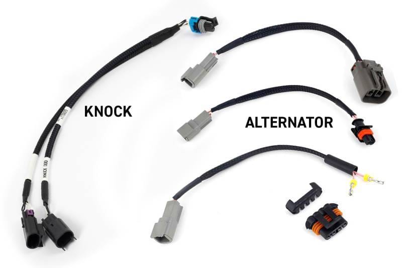 Haltech HT-220201 Haltech NEXUS Rebel LS Gen III Cable Throttle/EV1 Injectors/Manual Transmission thumbnail 2