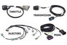 Haltech HT-220204 Haltech NEXUS Rebel LS Gen IV 6-Pin DBW Throttle/EV6 Injectors/Manual Transmission