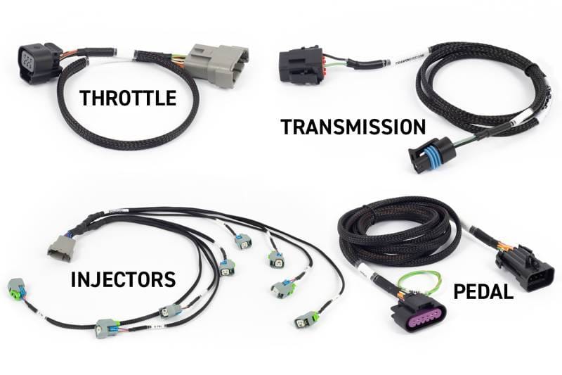 Haltech HT-220204 Haltech NEXUS Rebel LS Gen IV 6-Pin DBW Throttle/EV6 Injectors/Manual Transmission