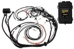 Haltech HT-151369 Haltech Elite 2500 Terminated Harness ECU Kit w/EV1 Injector Connectors