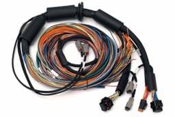 Haltech HT-183200 Haltech NEXUS R3 Universal Wire-In Harness - 2.5M (8ft)