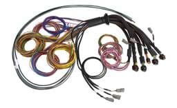 Haltech HT-185200 Haltech NEXUS R5 Universal Wire-In Harness - 2.5M (8ft)
