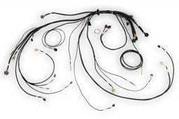 Haltech HT-186500 Haltech NEXUS Rebel LS Terminated Harness for ECU