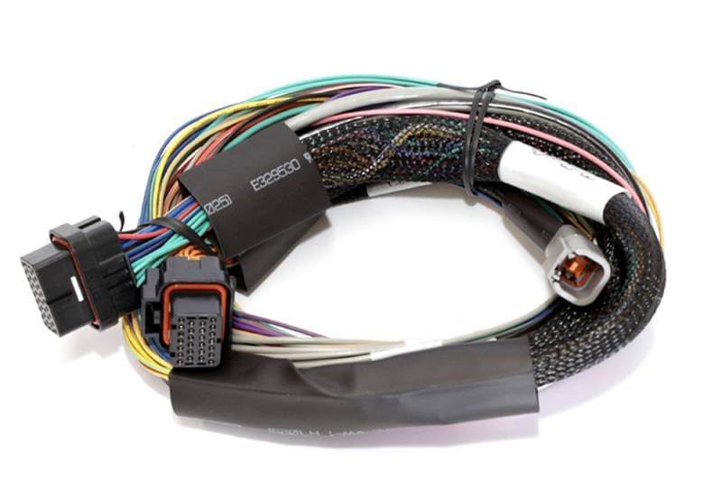 Haltech HT-141302 Haltech Elite 2500 Basic Universal Wire-In Harness w/o Relays or Fuses - 2.5m (8ft) thumbnail 2